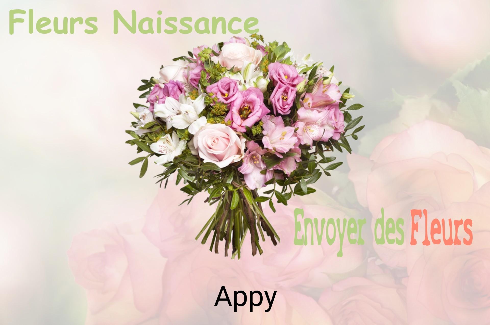 Bouquet de fleurs de naissance livré à Appy